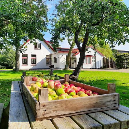 Apartamento De Vrijheid-Plantage De Cocksdorp  Exterior foto